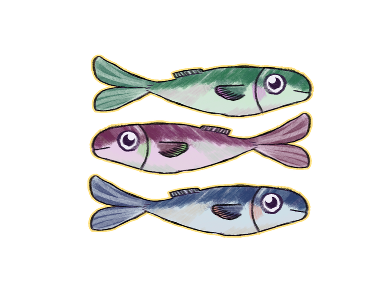 fish 1.png