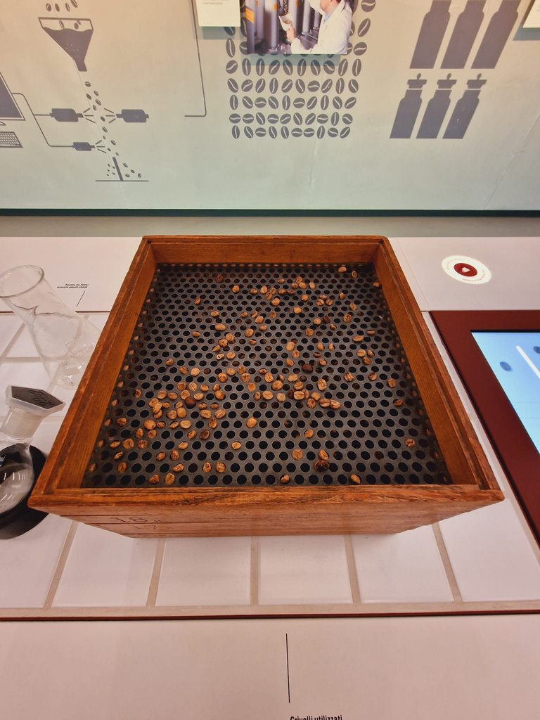 310252815_6005305059499575_7925754629198013436_n.jpg