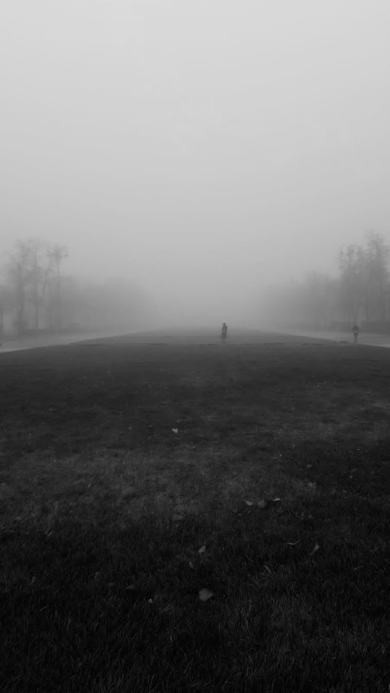 туман3чб.jpg