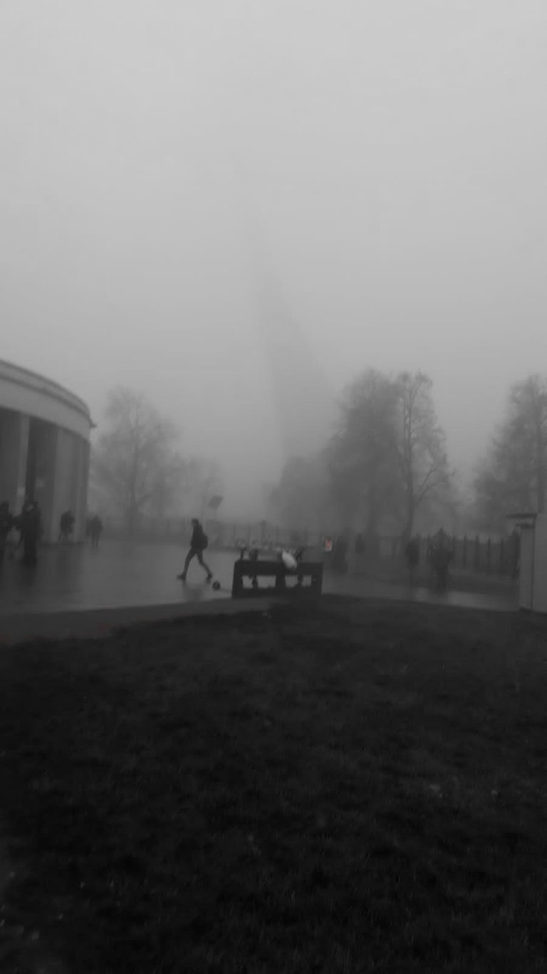 туман4чб.jpg