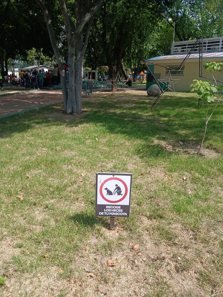 1000433436.jpg