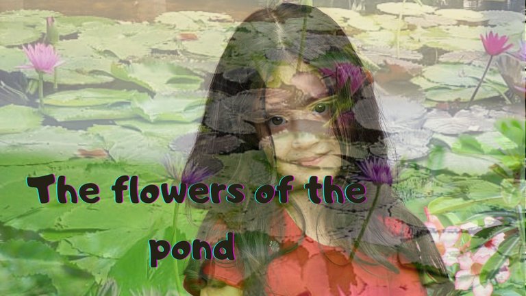 The flowers of the pond (1).jpg