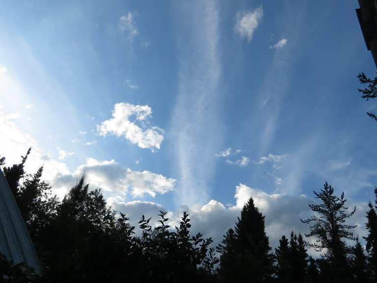 streaks of cloud coming out of darker clouds above sihouettes of trees.JPG