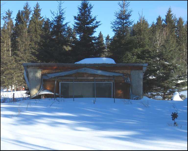 snow covered garden by header house.JPG