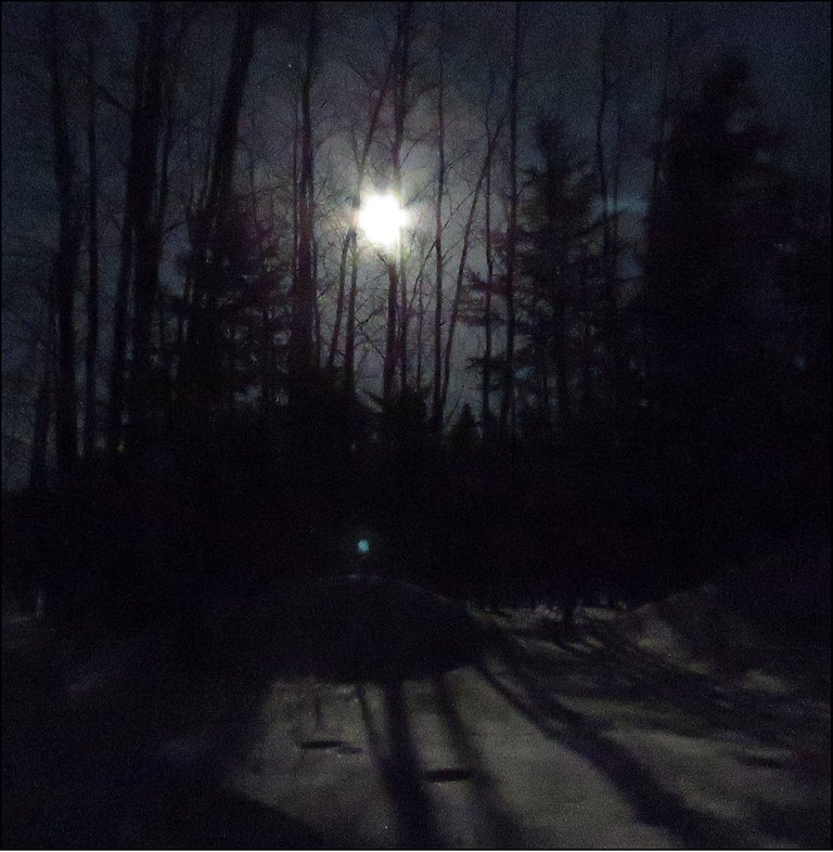 scene of full moon and moonlight thru the trees onto snow.JPG