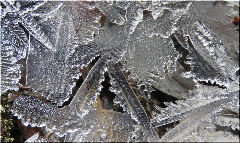 close up interesting patterns in ice.JPG