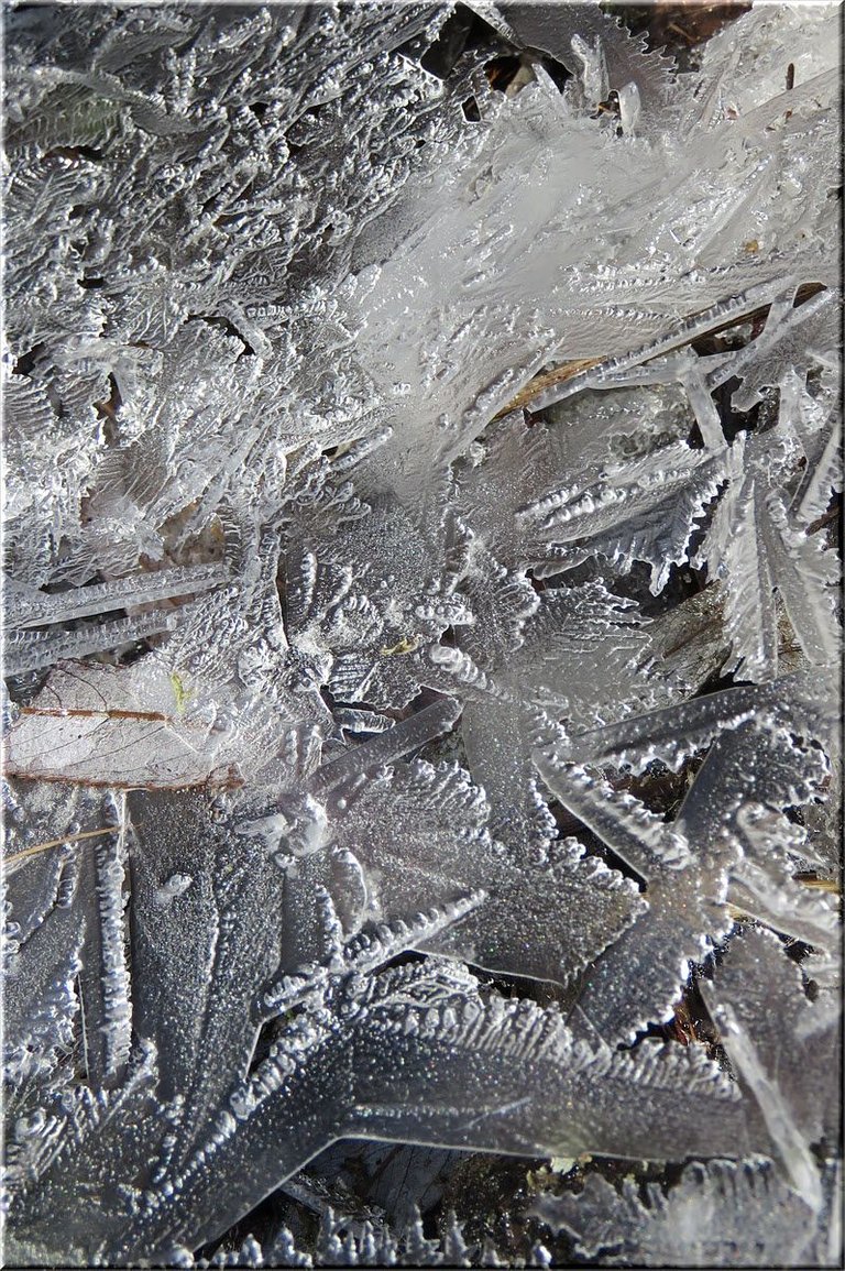 variety of interesting patterns in ice.JPG