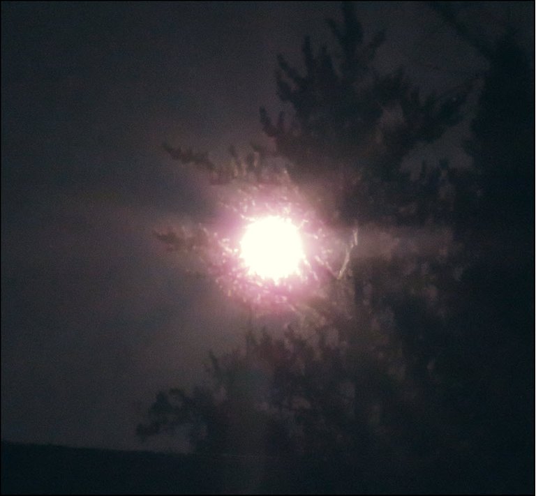 bright moon with moonbeams radiating thru spruce tree.JPG