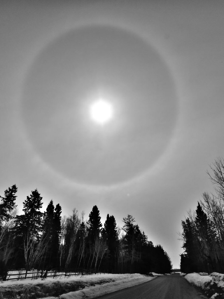ring around sun filter high lights it and trees.JPG