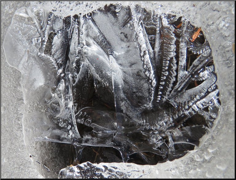 patterns of ice in hole in ice.JPG