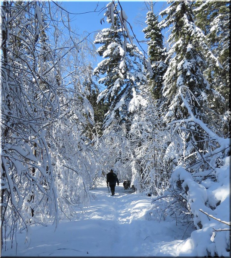 Don walking down snowy willow lane.JPG