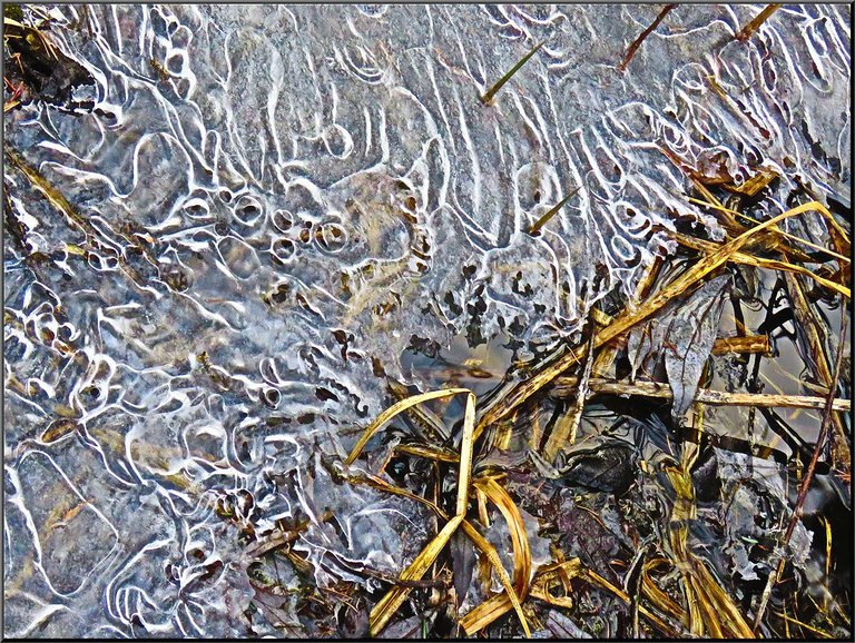display of bubbles in ice by grass.JPG