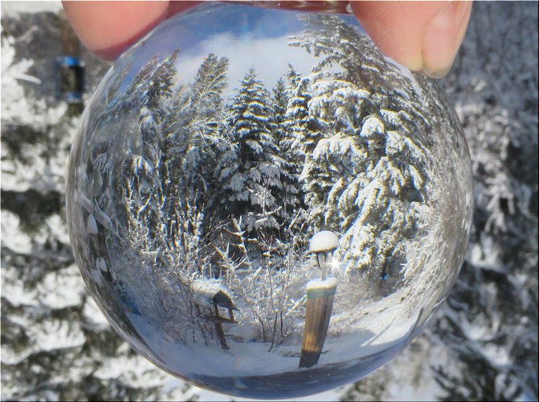 looking thru photo globe of snowy scene by bird feeder.JPG