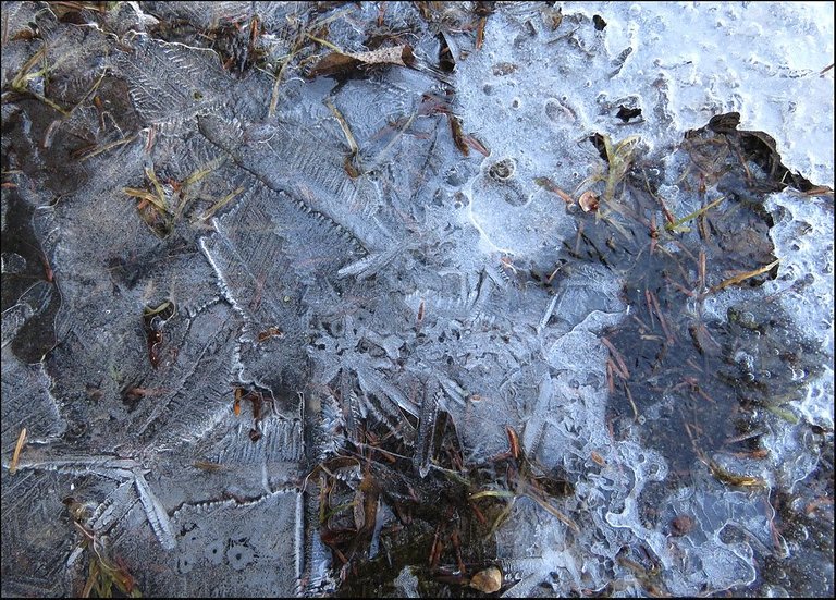 patterns in the ice.JPG