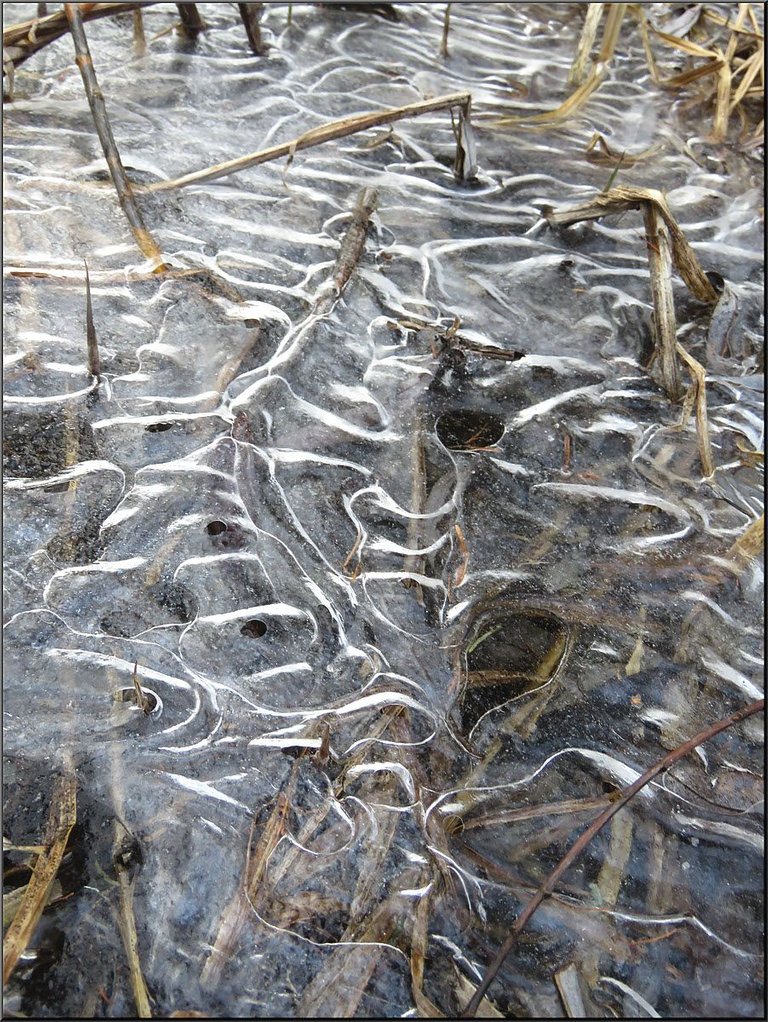 line of bubly desins in the ice.JPG