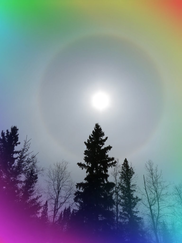 rainbow view of ring around sun over trees.JPG