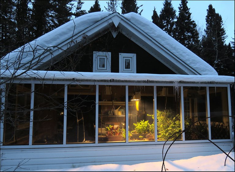 view indoor garden looking at it from outdoors.JPG