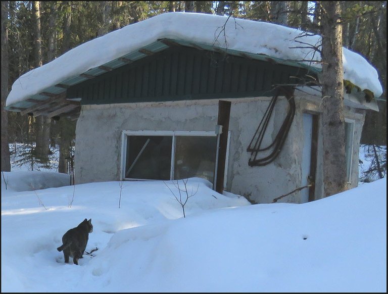 JJ walking thru snow to well house.JPG