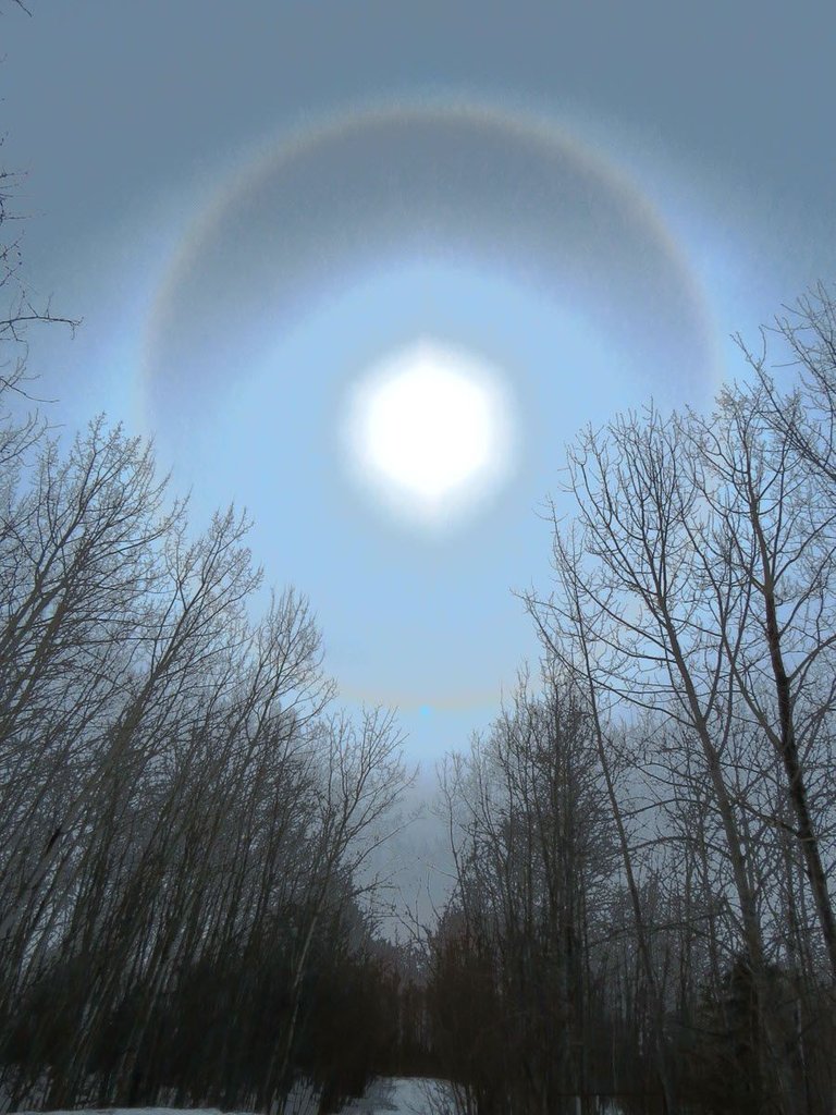 blue filter accents ring around sun over path in bush.JPG
