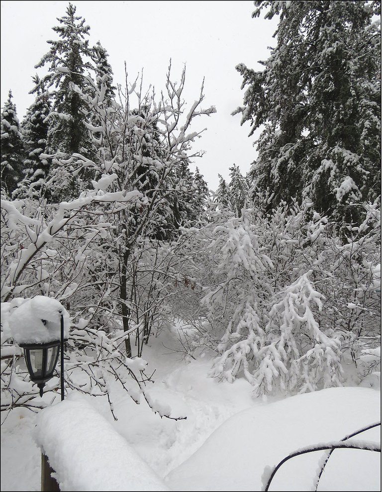 snowy view from deck looking to path to neighbors.JPG