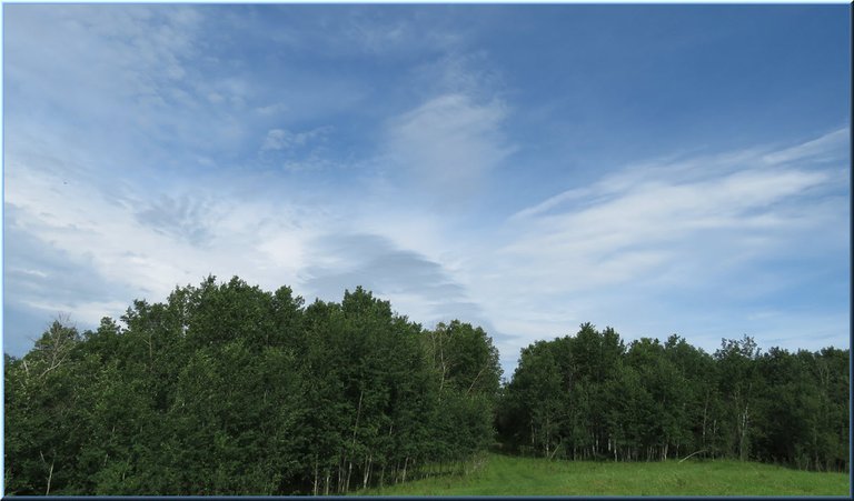 interesting cloud formation over poplar trees by lane at top of hill.JPG