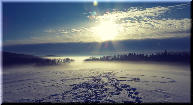 early morning light sun low in sky fog on lake.JPG