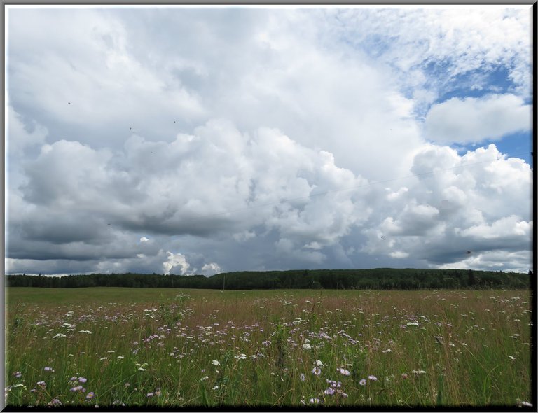 wildflower meadow withdramatic cloud display.JPG
