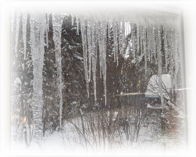 view of icicles from inside sun room.JPG