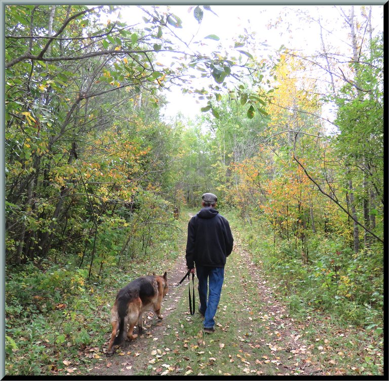 Don walking Bruno up trail to hilltop color in leaves on trees.JPG