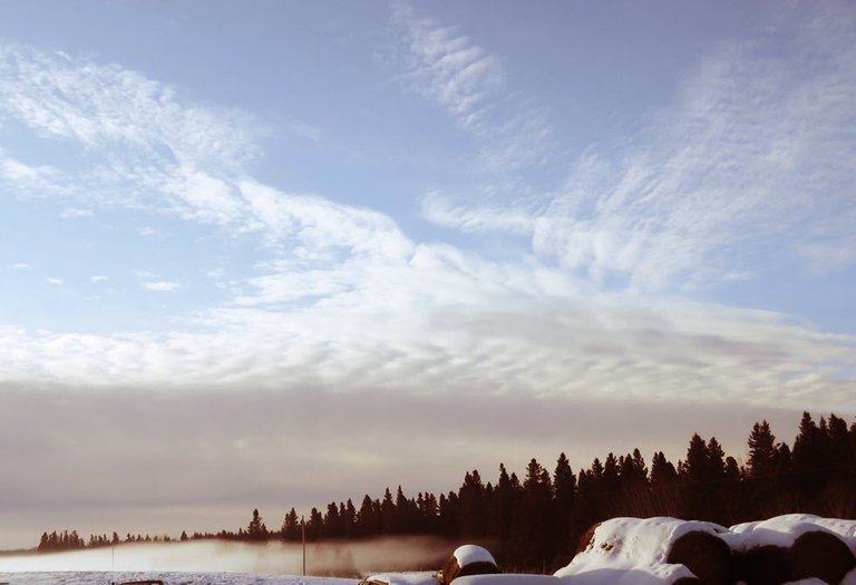 scene of frost moving into spruce trees interesting cloud formation.JPG