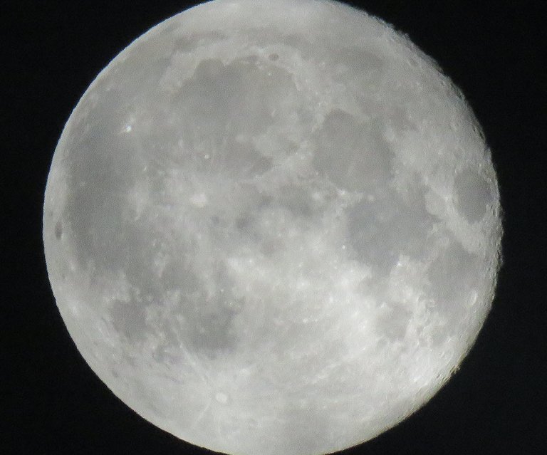 close up of harvest full moon.JPG