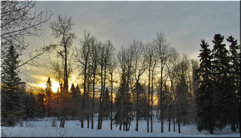 glowing sun rising in trees around frozen pond.JPG