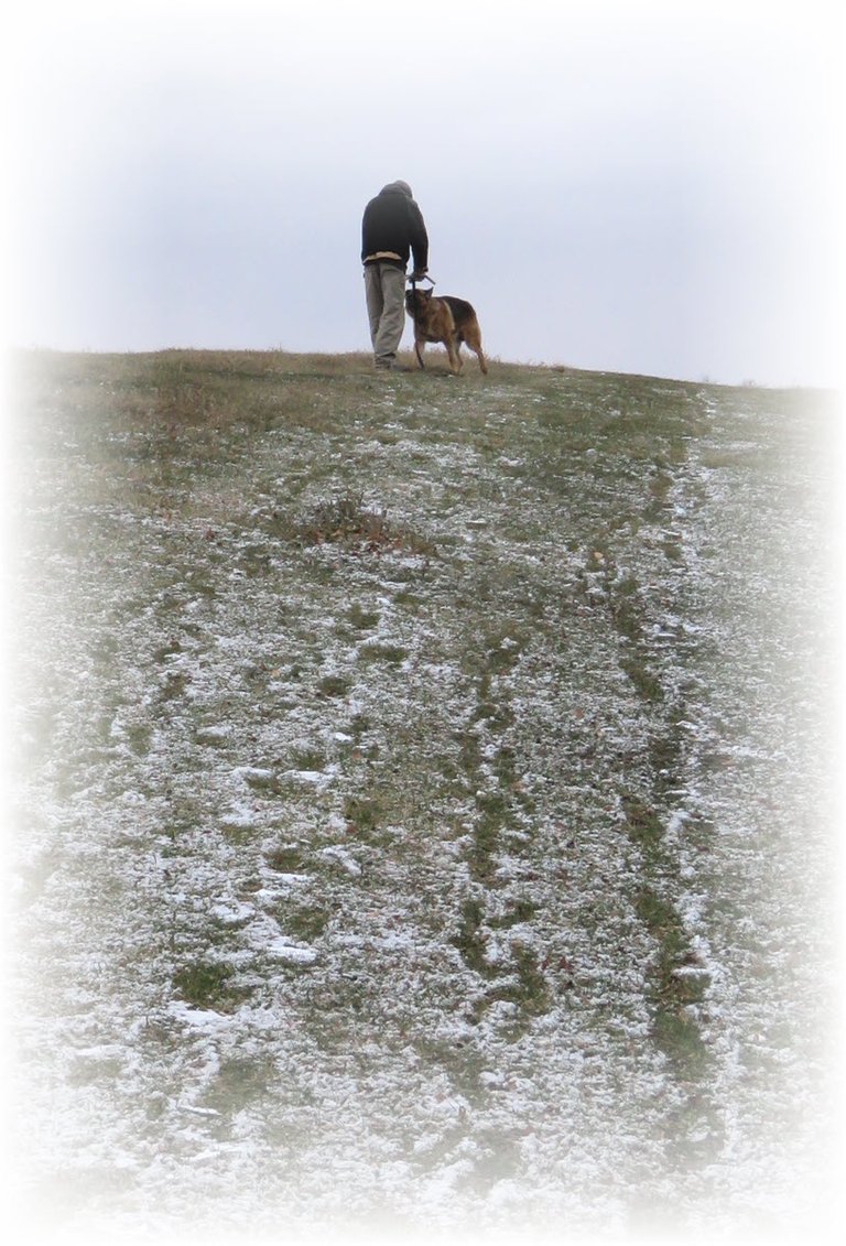 1st snow on hill with tracks Don releasing Bruno.JPG
