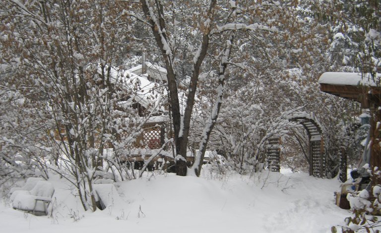scene of house and snow covered yard.JPG