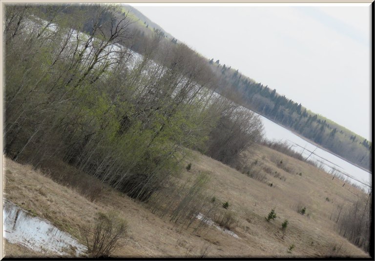 scene from top of hill looking at lake closer up.JPG