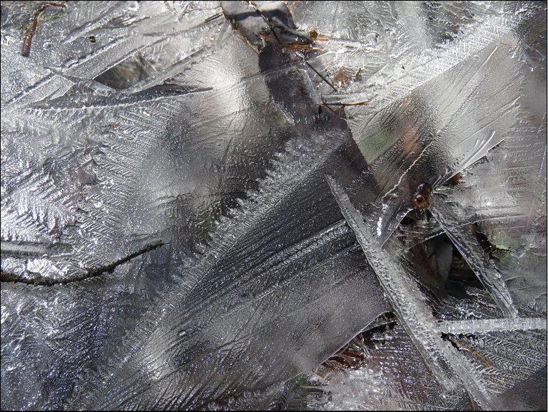 interesting sweep of leaf like patterns in ice.JPG