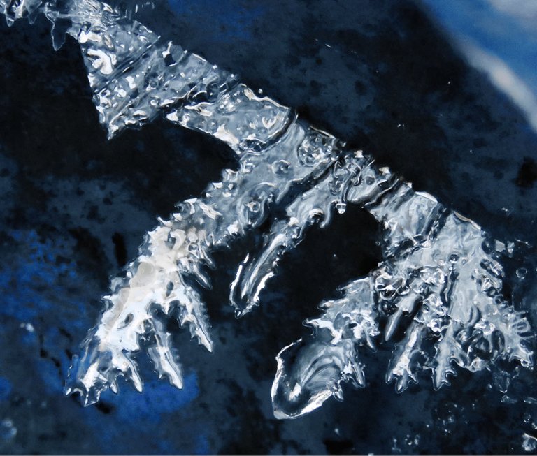 close up ice crystals on side of rainbarrel.JPG