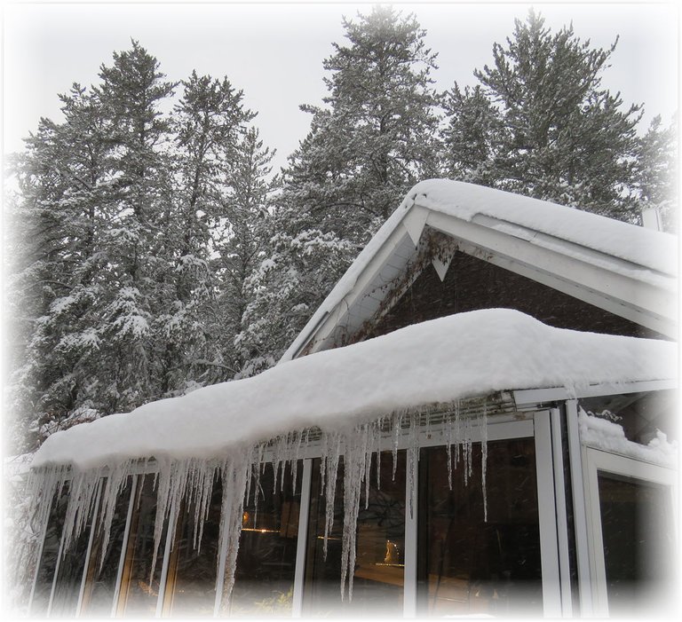 front view of house with icicles on sunroom snow in trees and background.JPG