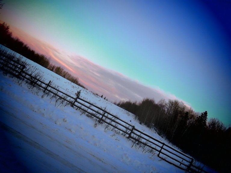 focused in view of sunset of end of field.JPG