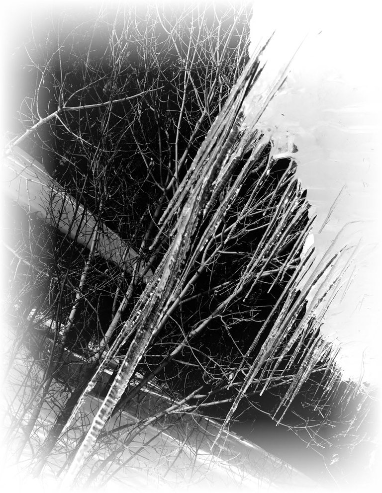 display of  multitude of icicles in black and white run in background.JPG