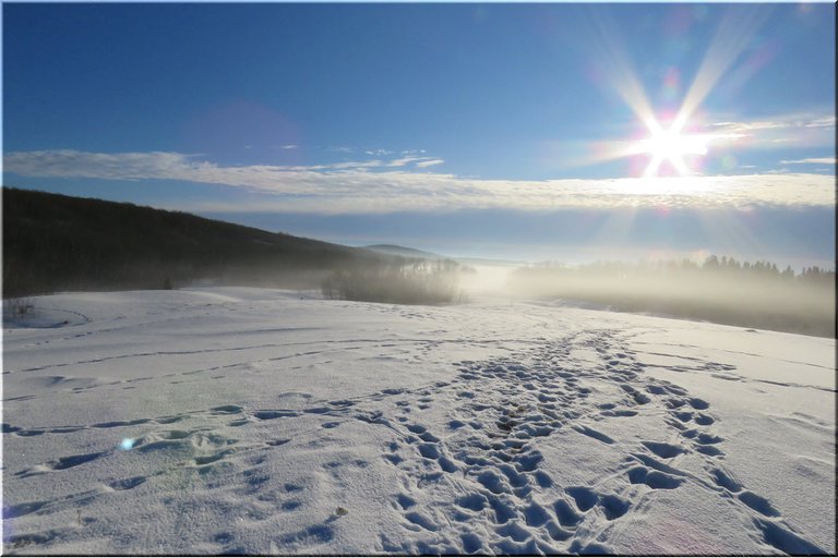 fog rolling over lake up hill sun low in sky.JPG