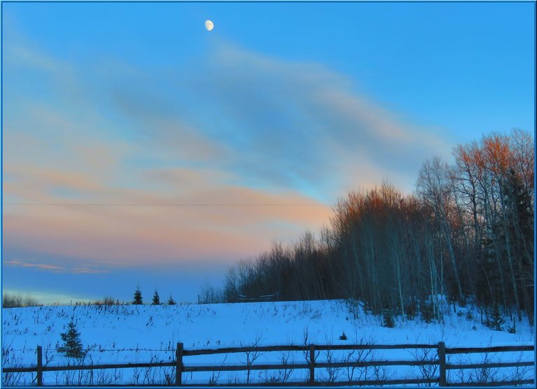 trees by field highlighted by setting sun pink clouds above and moon.JPG