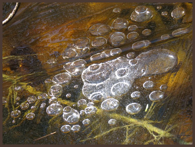 bubble formation caught under thin layer of ice.JPG