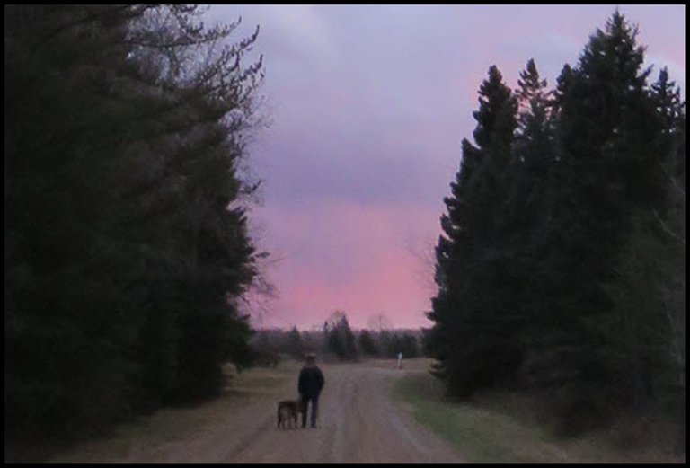 Don and Bruno walking off into the sunset resized.JPG