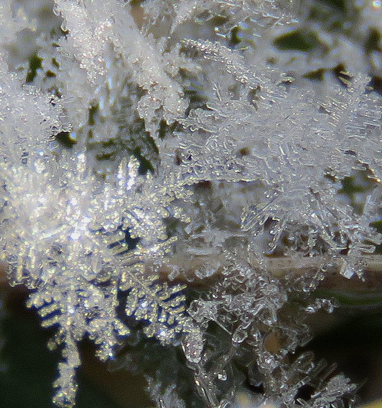 close up of cystal snowflakes.JPG
