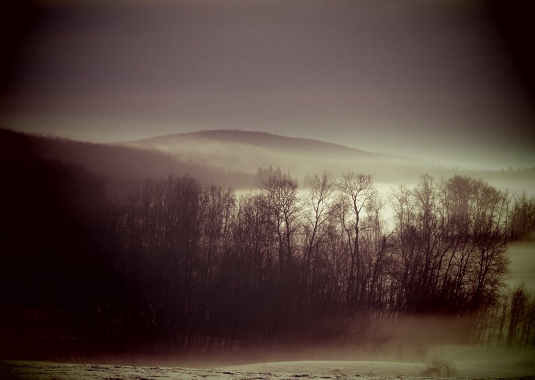 monotone focused view of misty scene over lake and hill.JPG