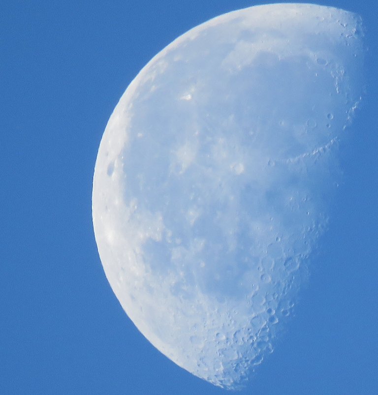 close up half moon showing details on surface.JPG