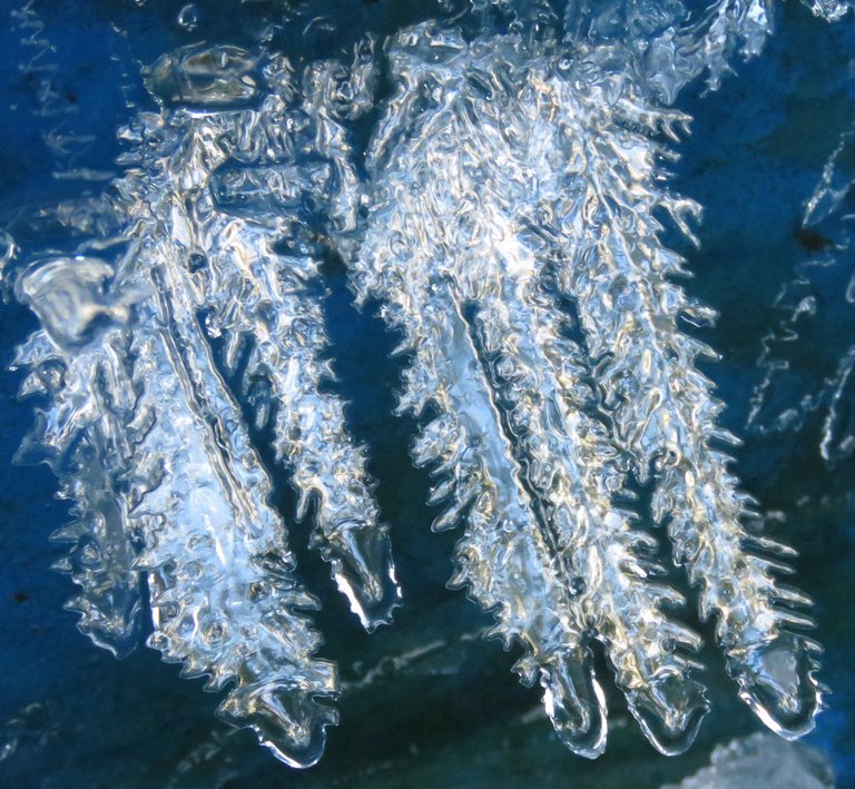 closeup ice crystals on side of rain barrel.JPG