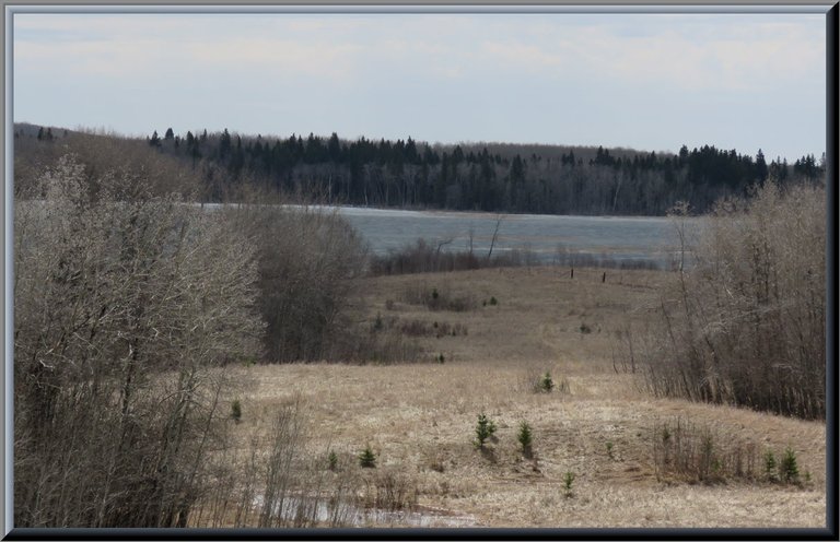 view from hilltop towards still partially frozen lake.JPG