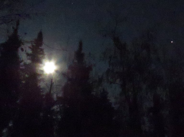 bright star by full moon with moon beams shining behind spruce trees.JPG